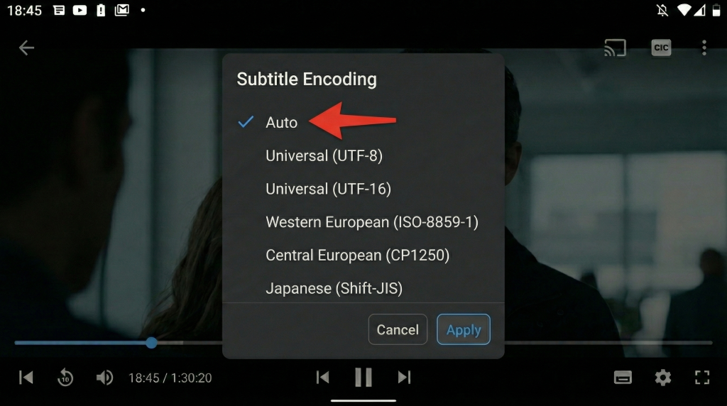Cloustream Subtitle Encoding

